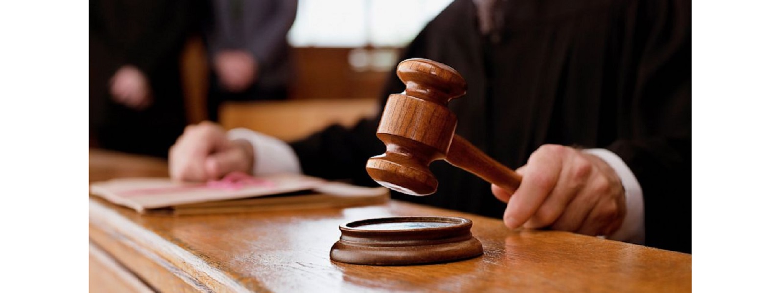 தானிஷ் அலி உள்ளிட்ட 7 பேர் பிணையில் விடுவிப்பு